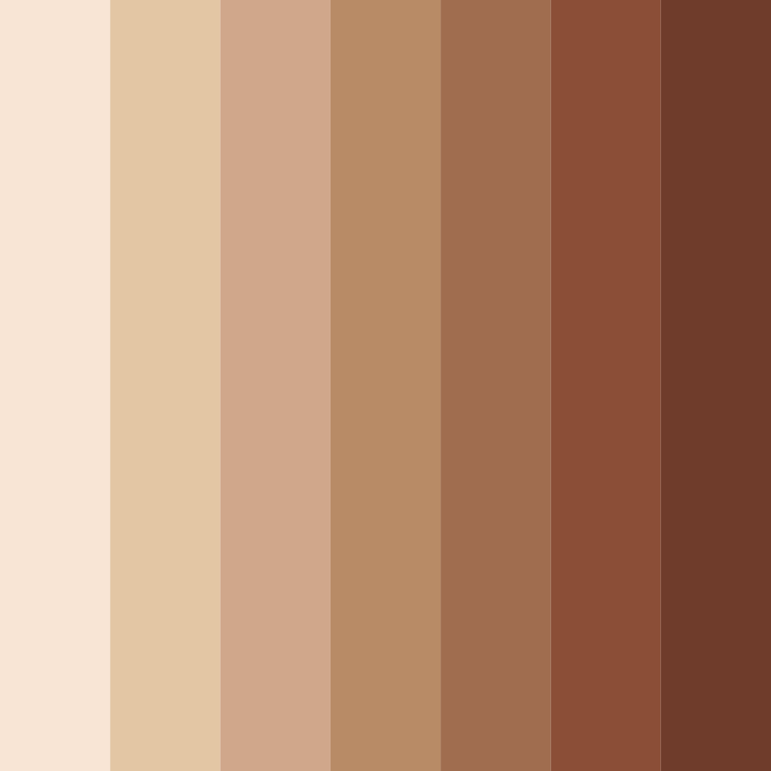 Download beige elegance color palette PNG image (square)