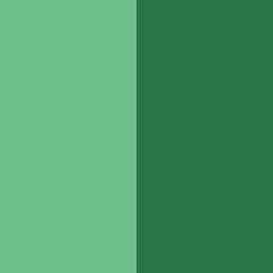 Download emerald oasis color palette PNG image (square)