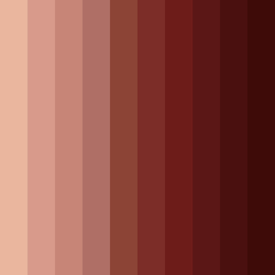 Download brown red shades color palette PNG image (square)