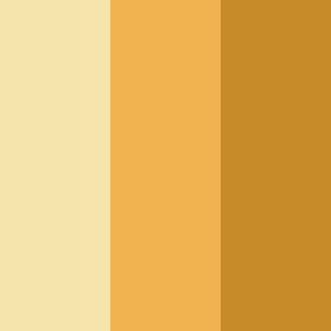 Download golden shades color palette PNG image (square)