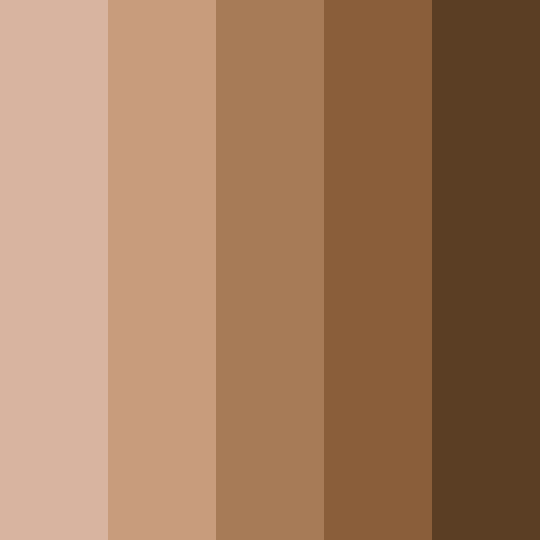 Download earthy embrace color palette PNG image (square)