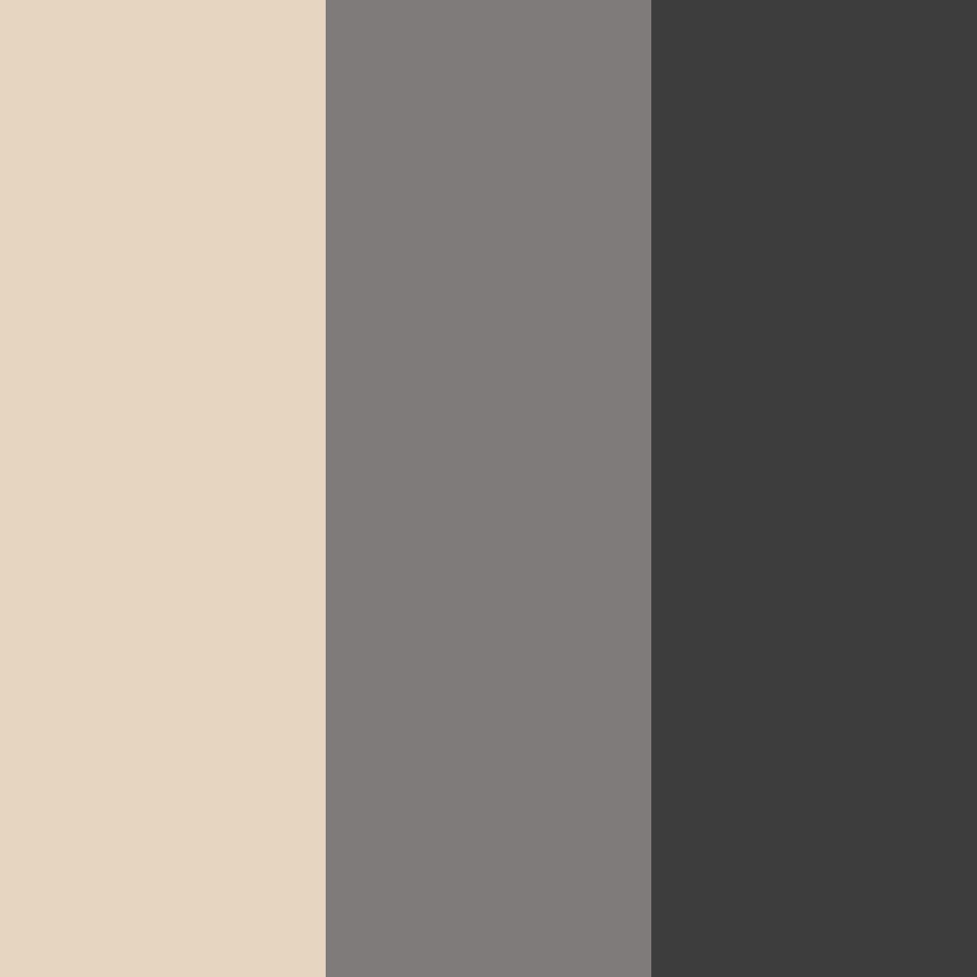 Download desert monochrome color palette PNG image (square)