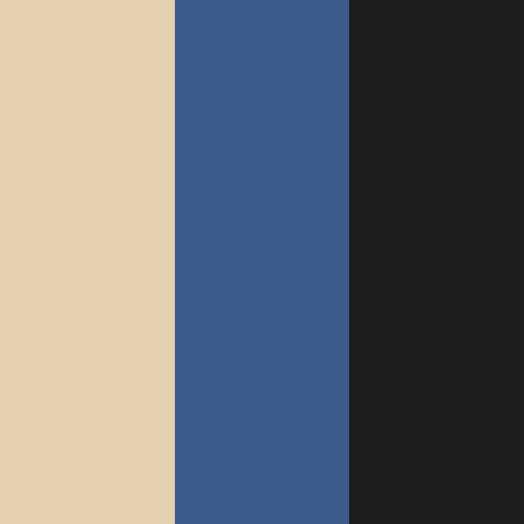 Download coastal elegance color palette PNG image (square)