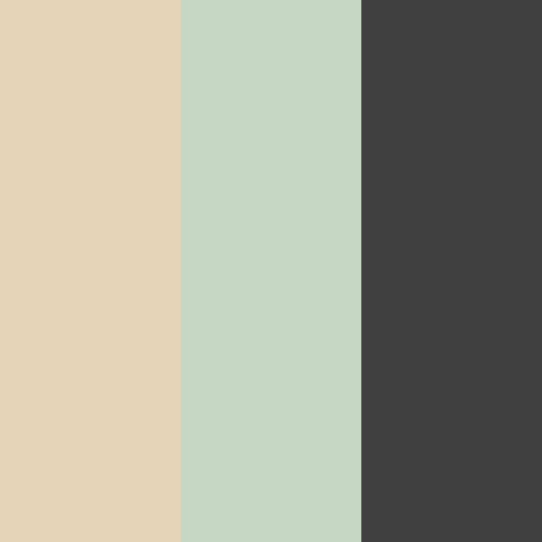 Download beige and green harmony color palette PNG image (square)