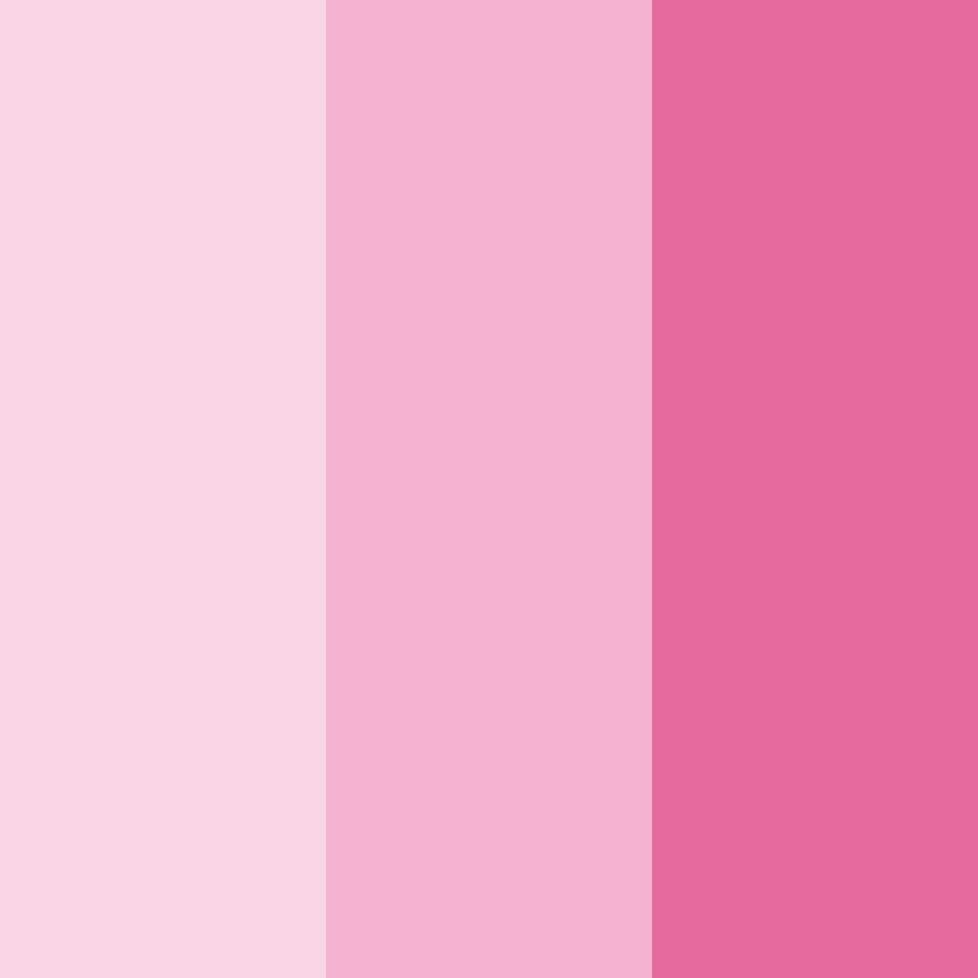 Download sweet blossom dreams color palette PNG image (square)