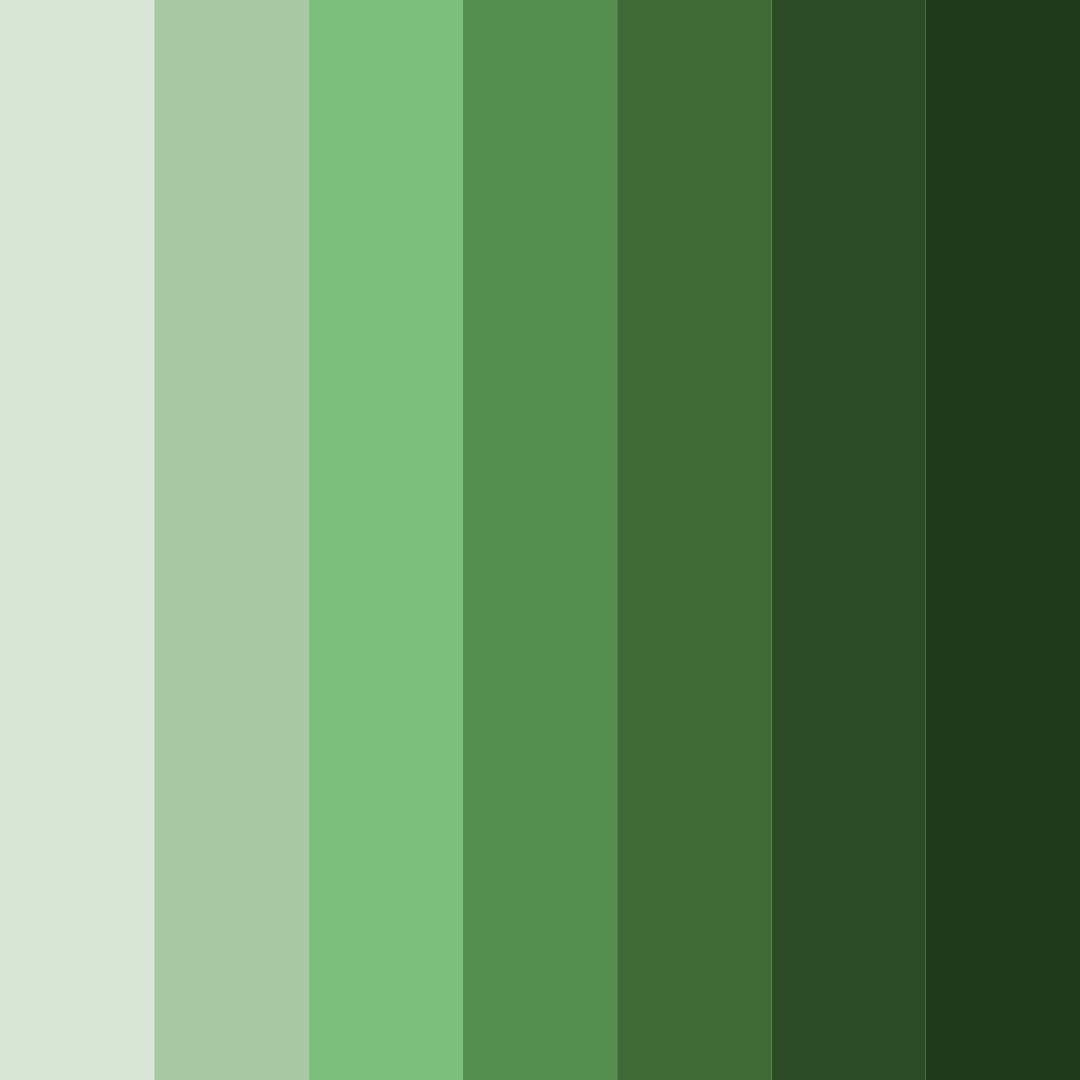 Download verdant canopy color palette PNG image (square)