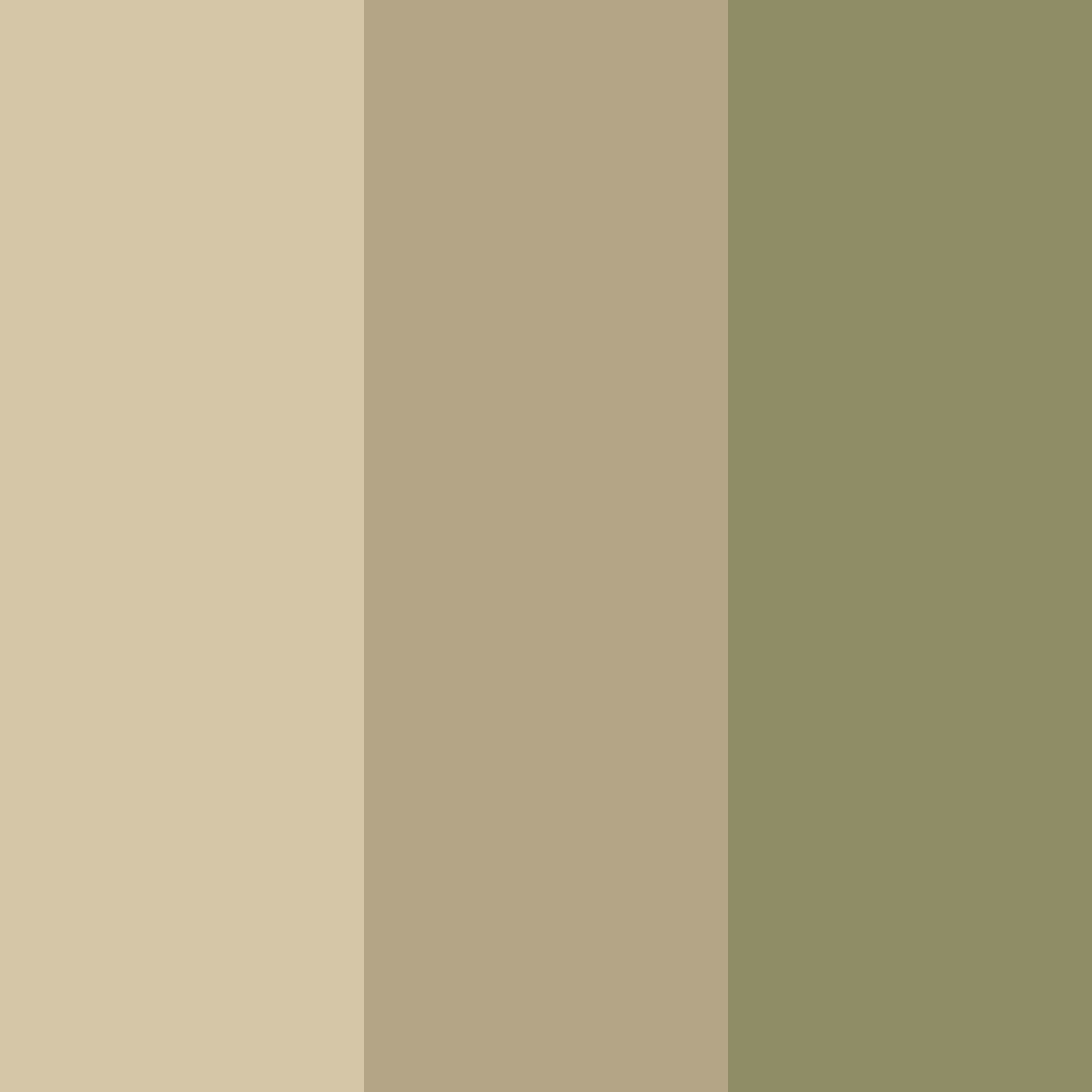 Download khaki shades color palette PNG image (square)