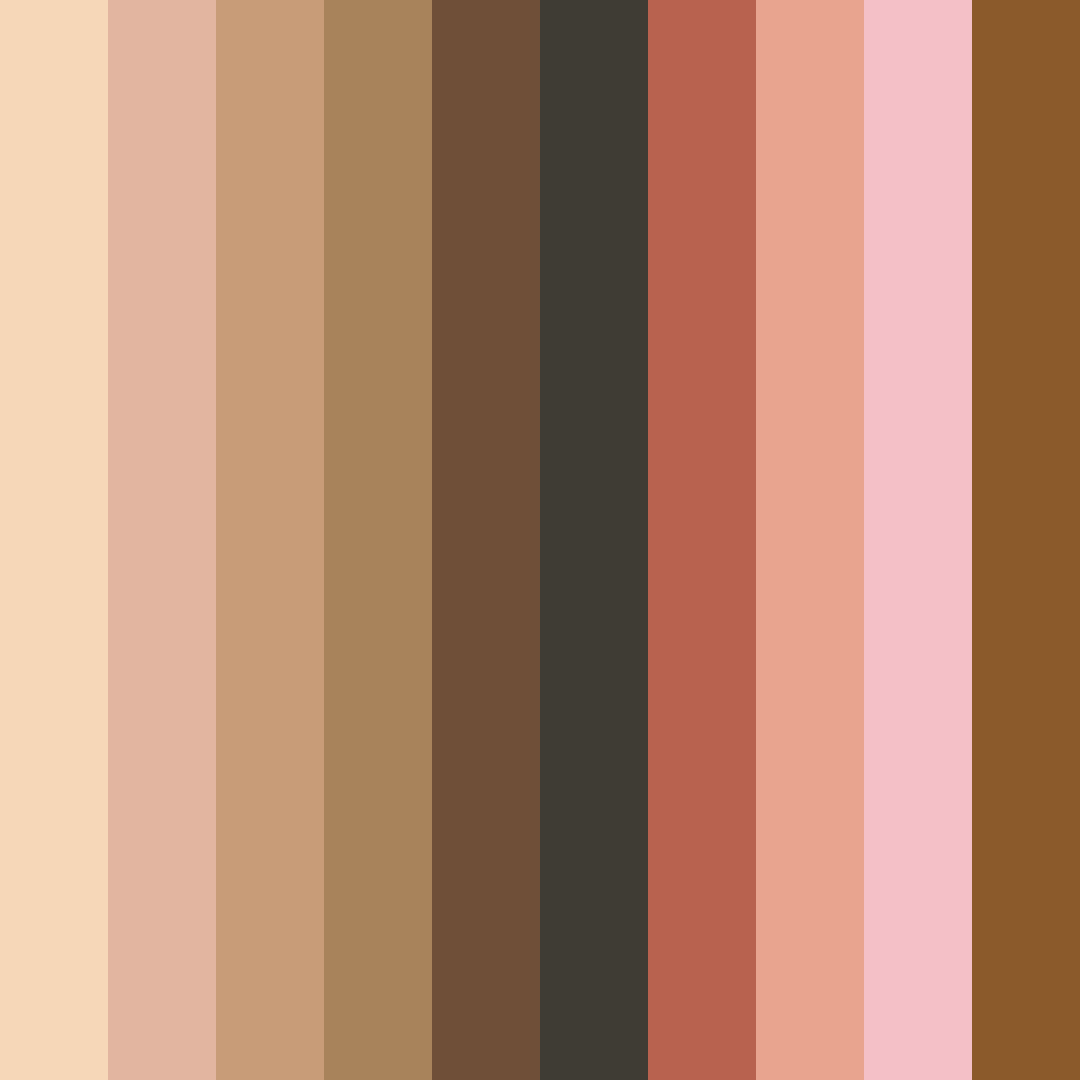 Download calico brown color palette PNG image (square)