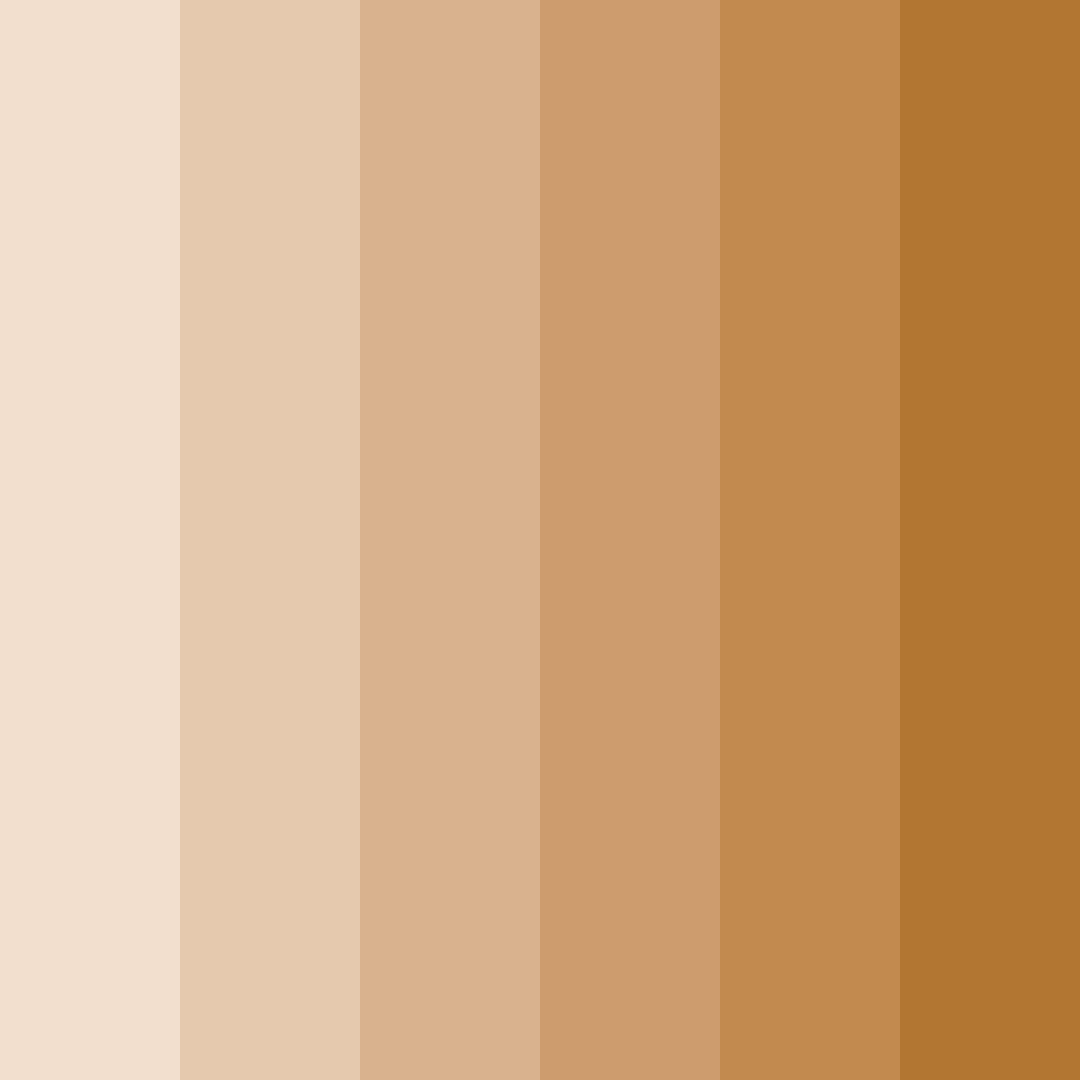 Download warm beige color palette PNG image (square)