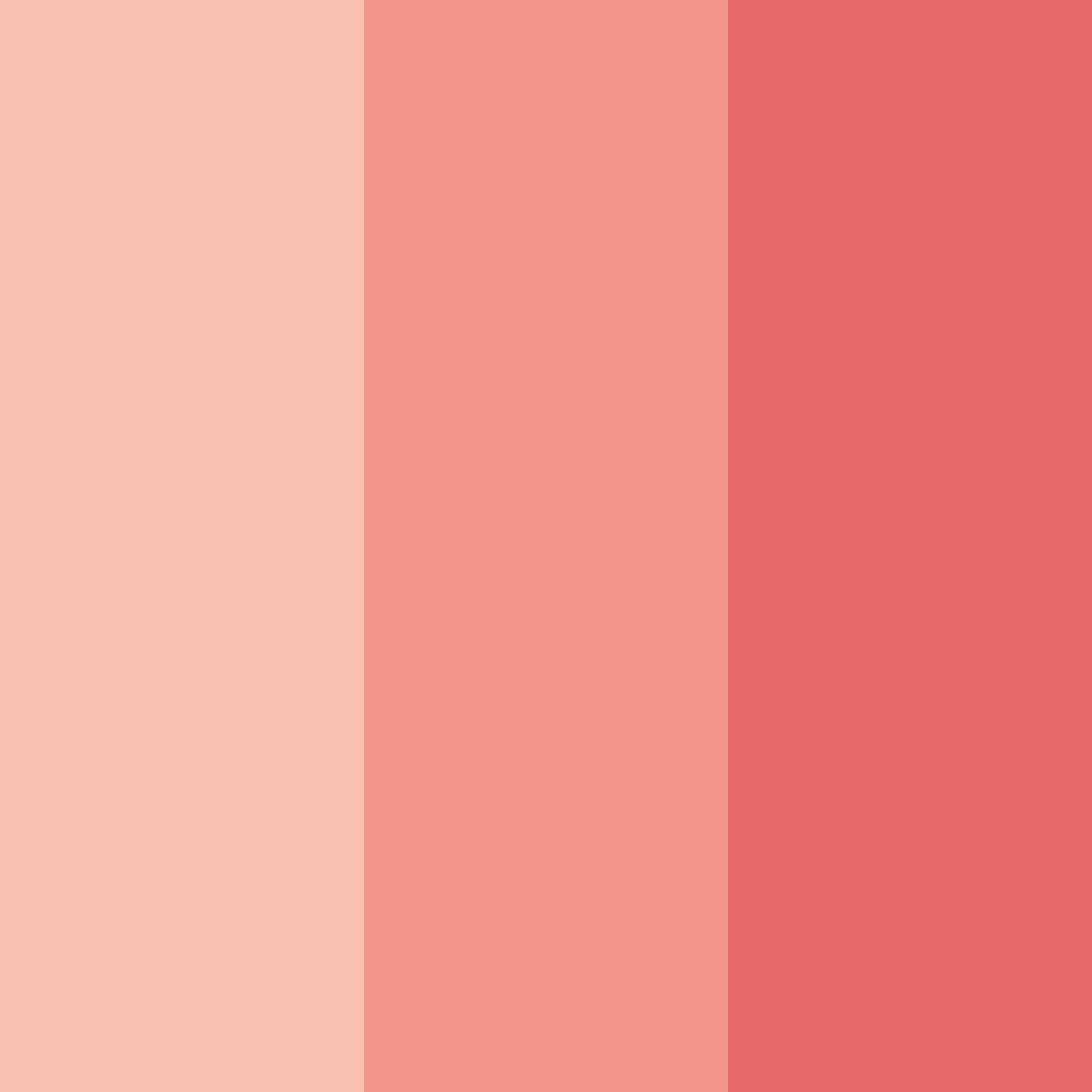 Download coral sunset color palette PNG image (square)