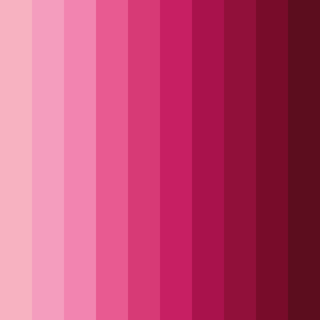 Download raspberry delight color palette PNG image (square)