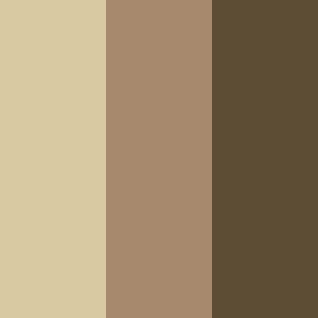 Download earthy brown color palette PNG image (square)