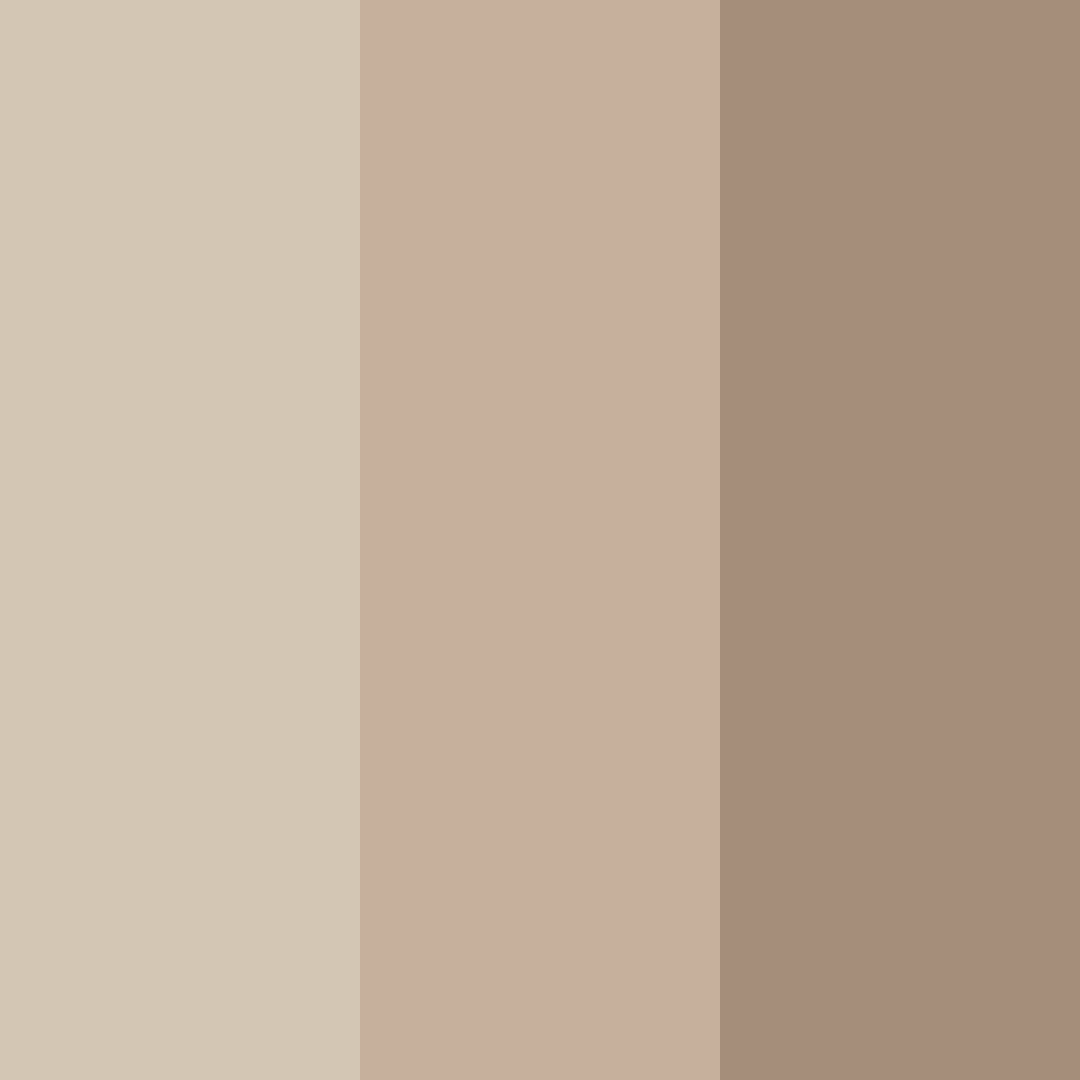 Download beige breeze color palette PNG image (square)