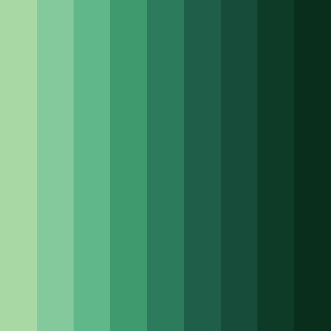 Download dark green leaves color palette PNG image (square)