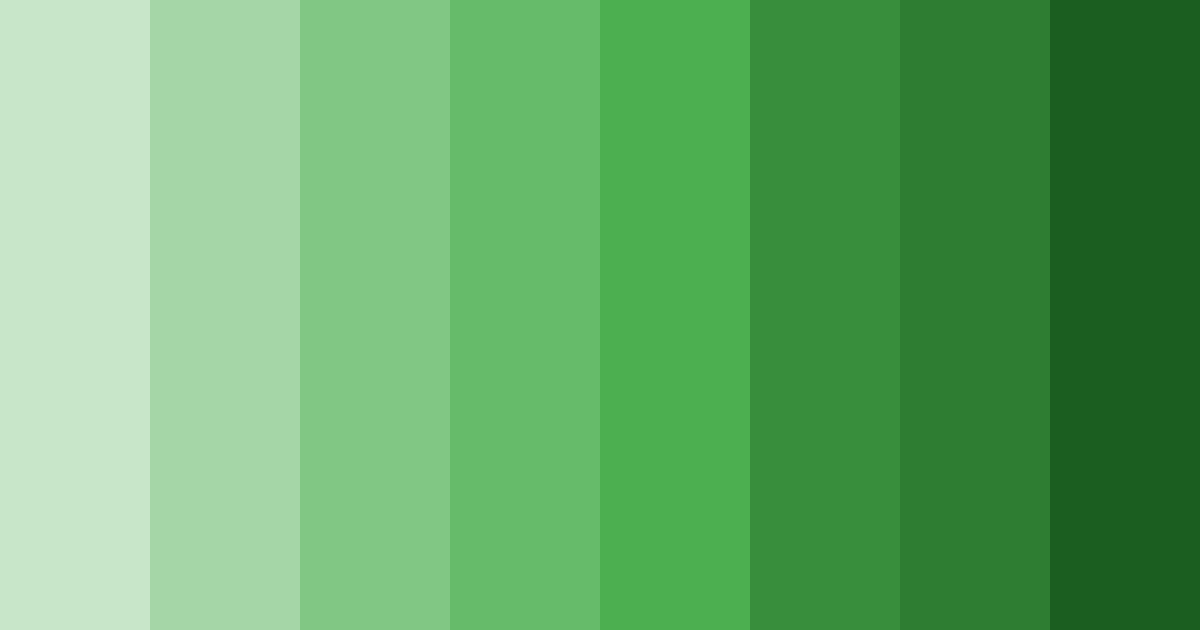 Download light green garden color palette PNG image (landscape)