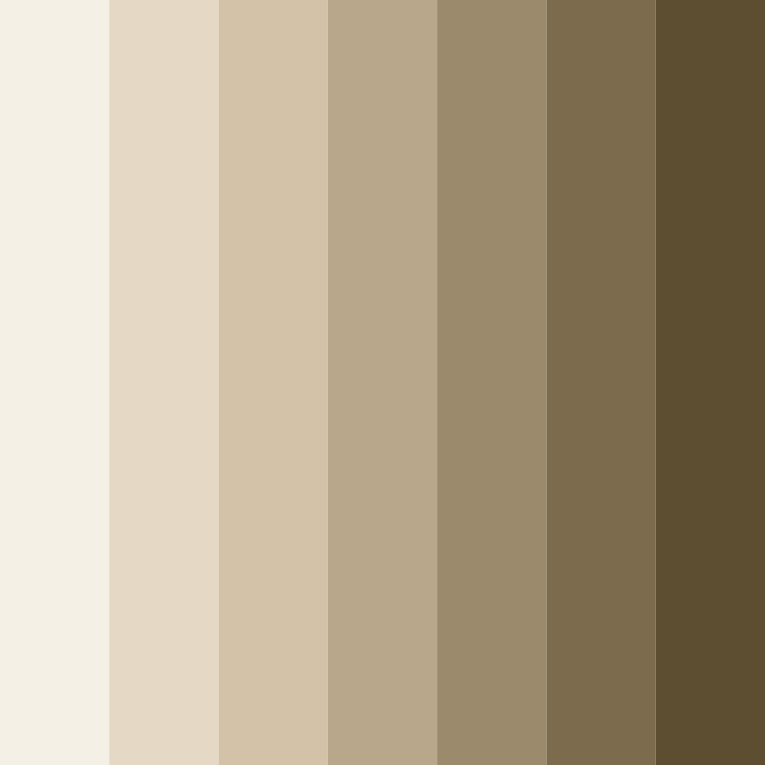 Download beige tones color palette PNG image (square)