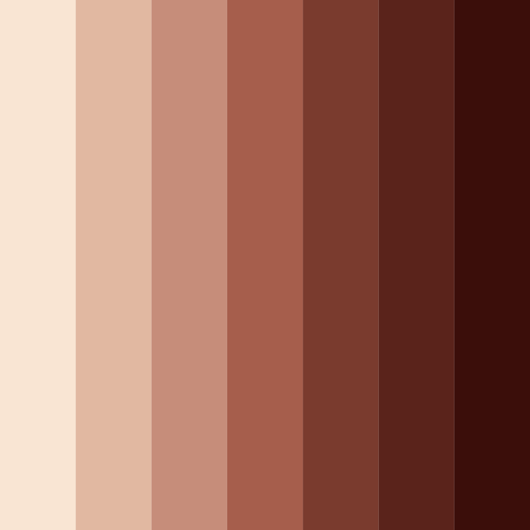 Download cocoa brown color palette PNG image (square)