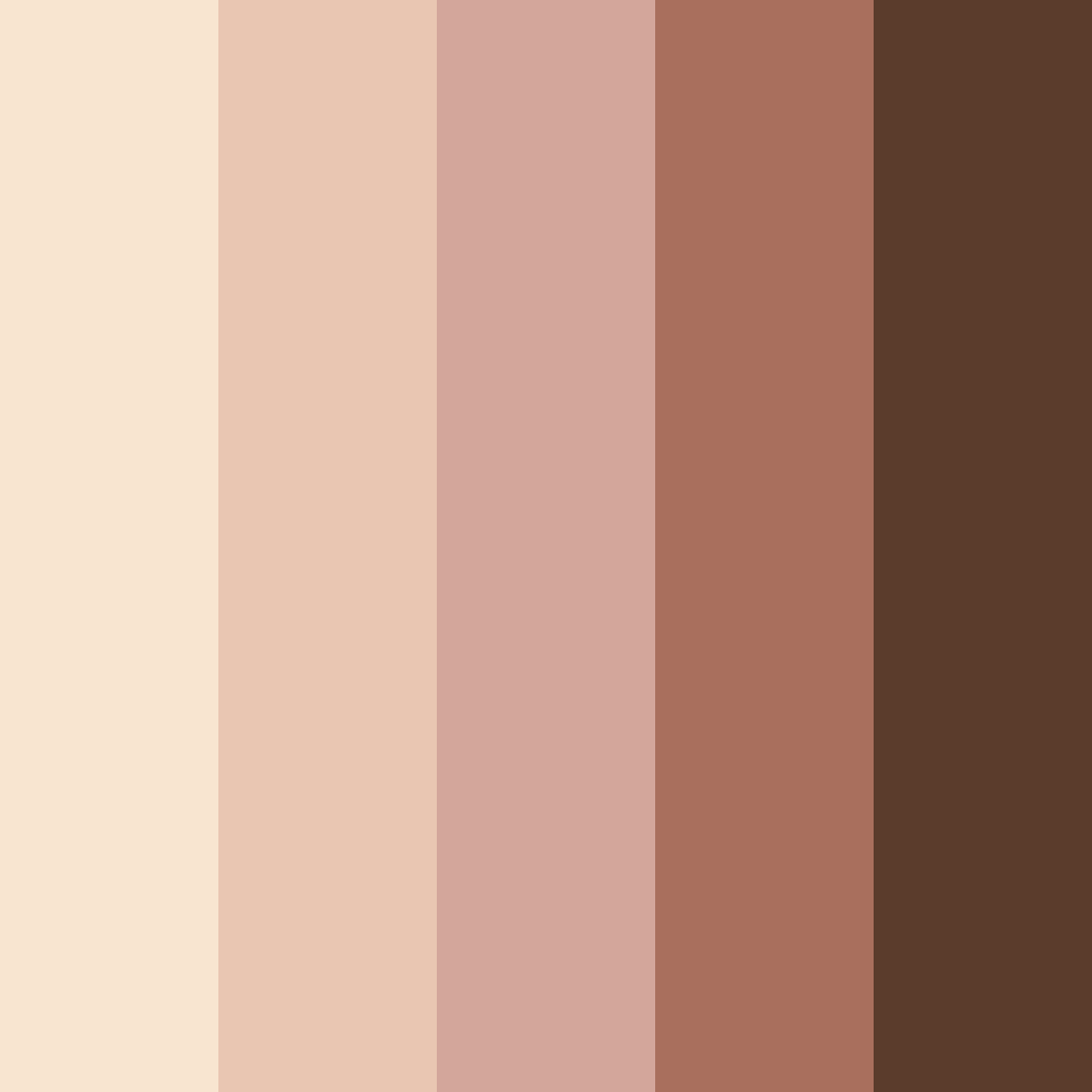 Download cocoa brown color palette PNG image (square)