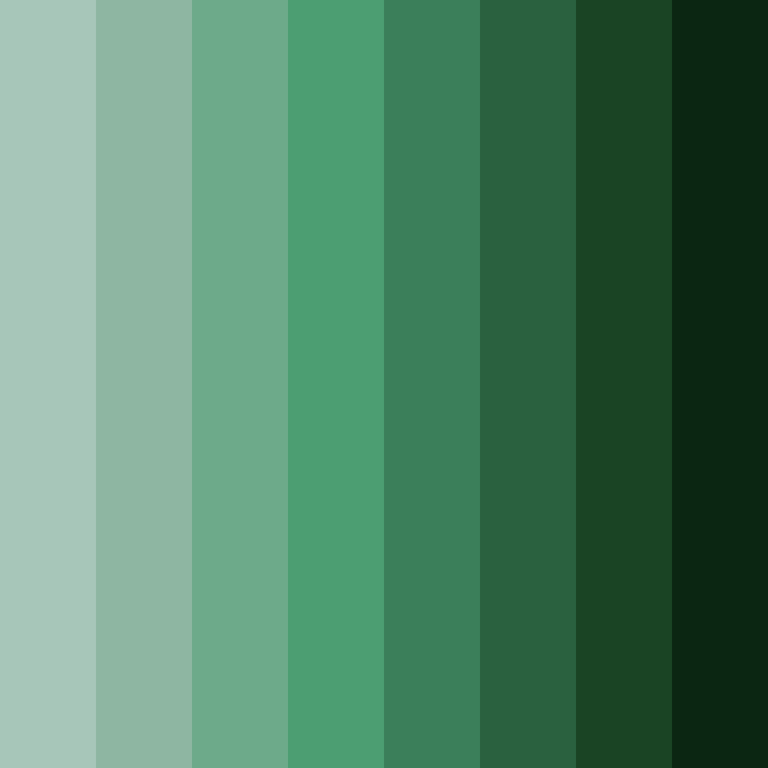 Download forest whisper color palette PNG image (square)