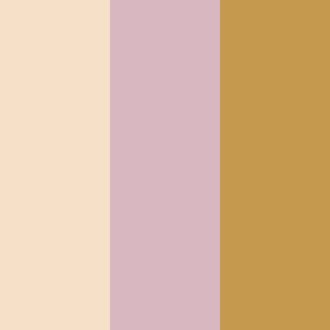 Download warm embrace color palette PNG image (square)
