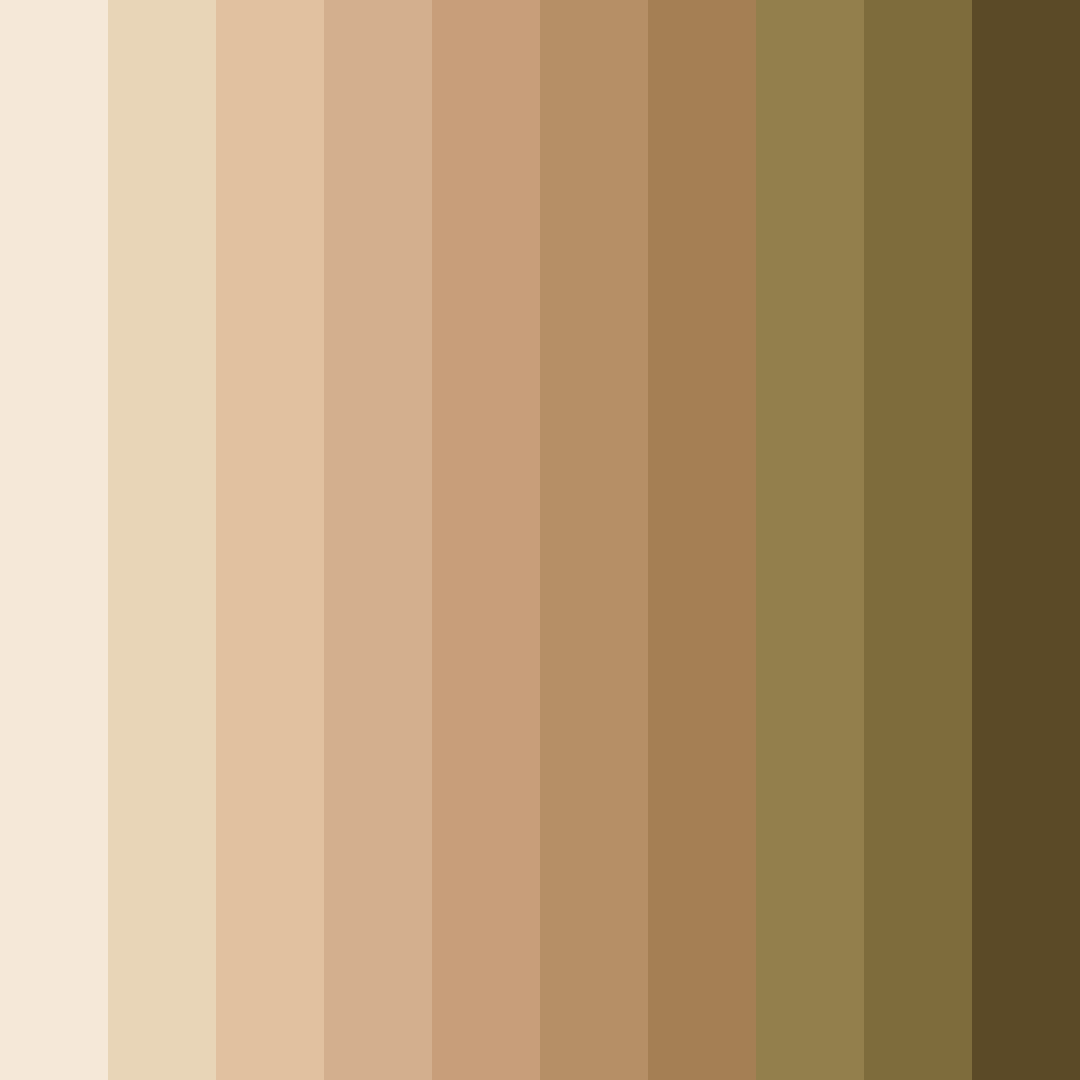 Download brown tones color palette PNG image (square)