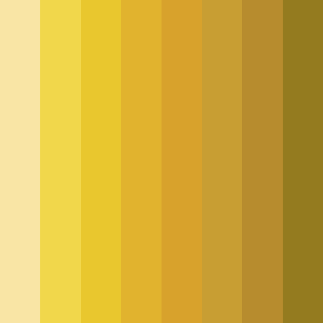 Download sunny citrus delight color palette PNG image (square)