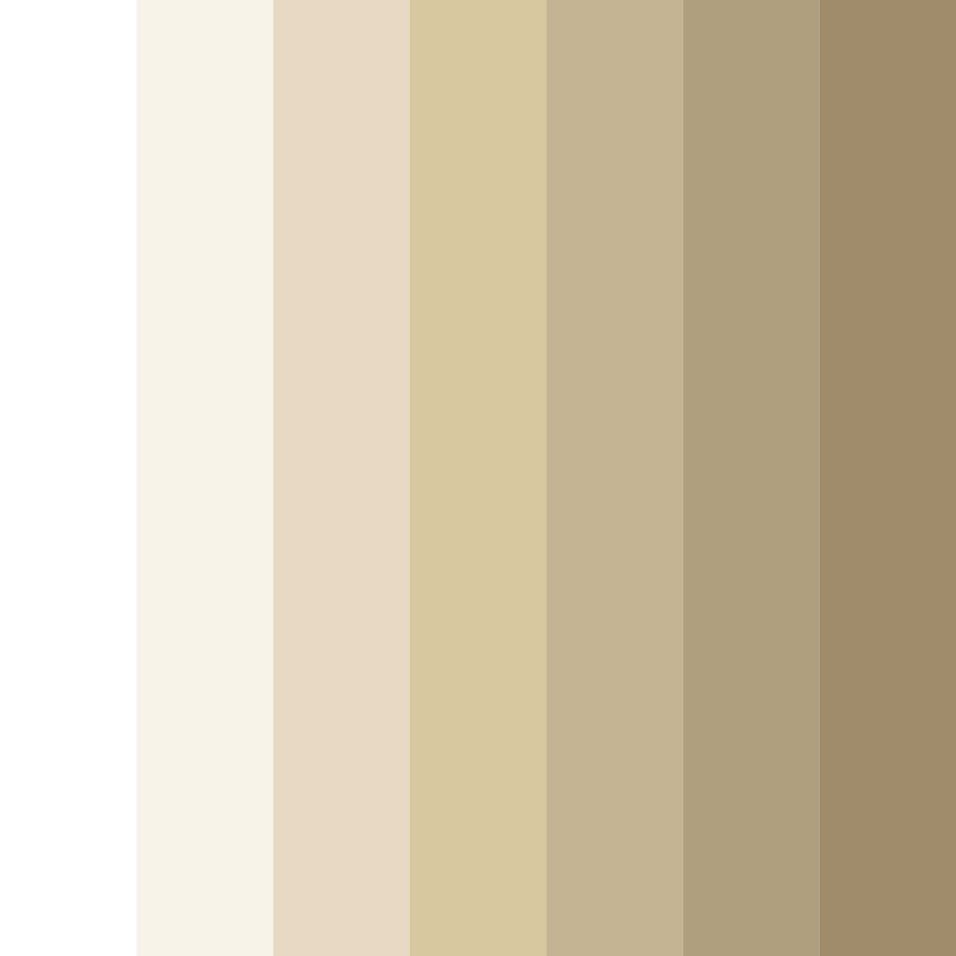 Download creamy whites color palette PNG image (square)