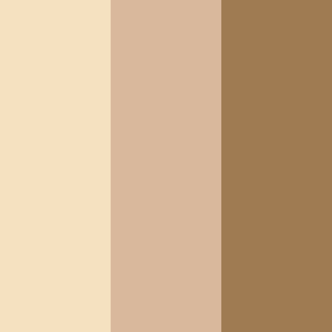 Download light brown cream color palette PNG image (square)