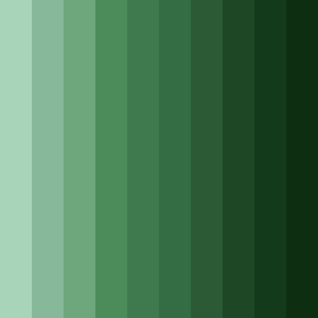 Download fernwood shadows color palette PNG image (square)