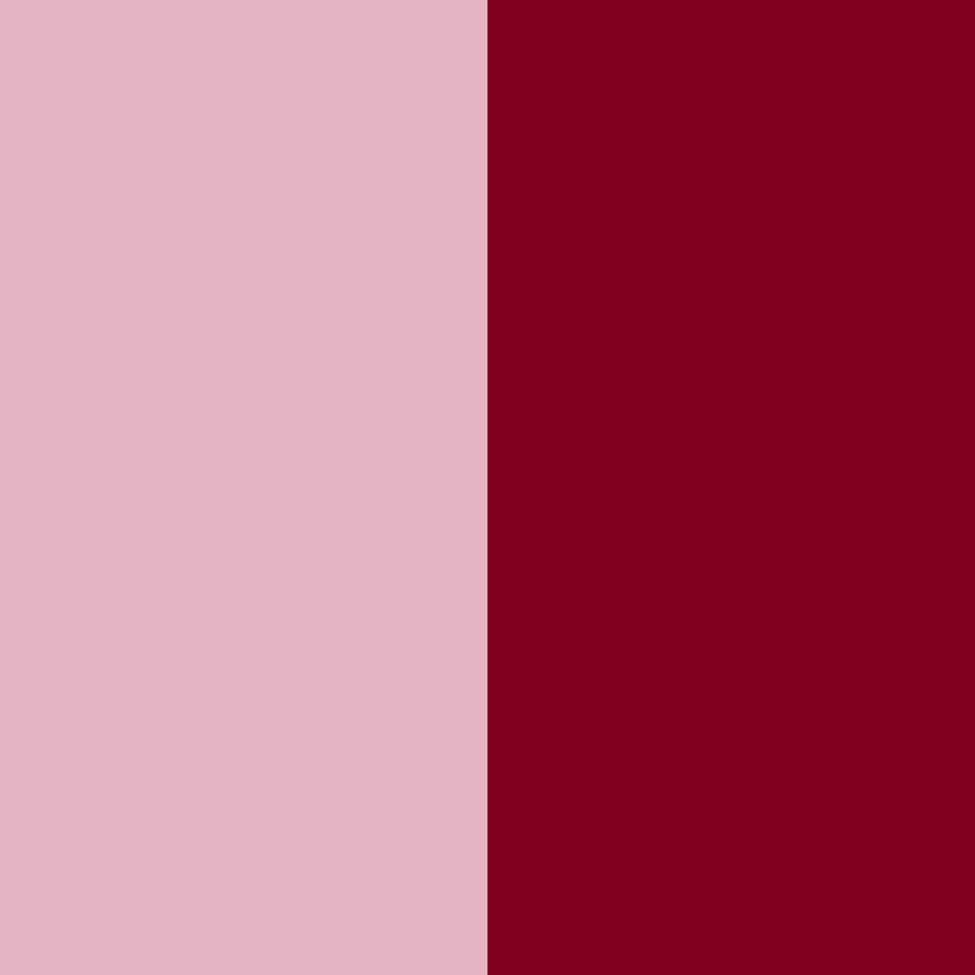 Download crimson blossom color palette PNG image (square)