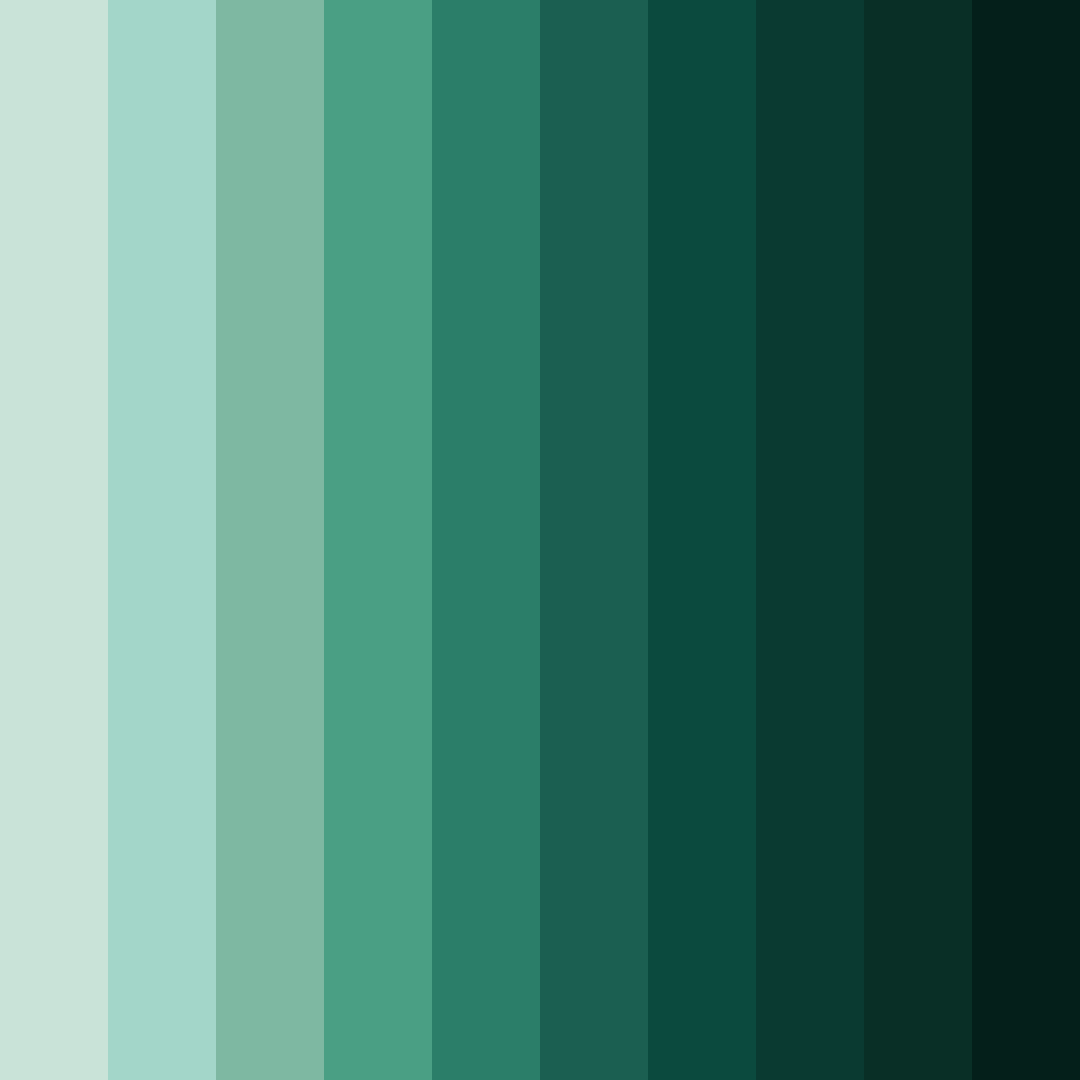 Download rainforest reverie color palette PNG image (square)