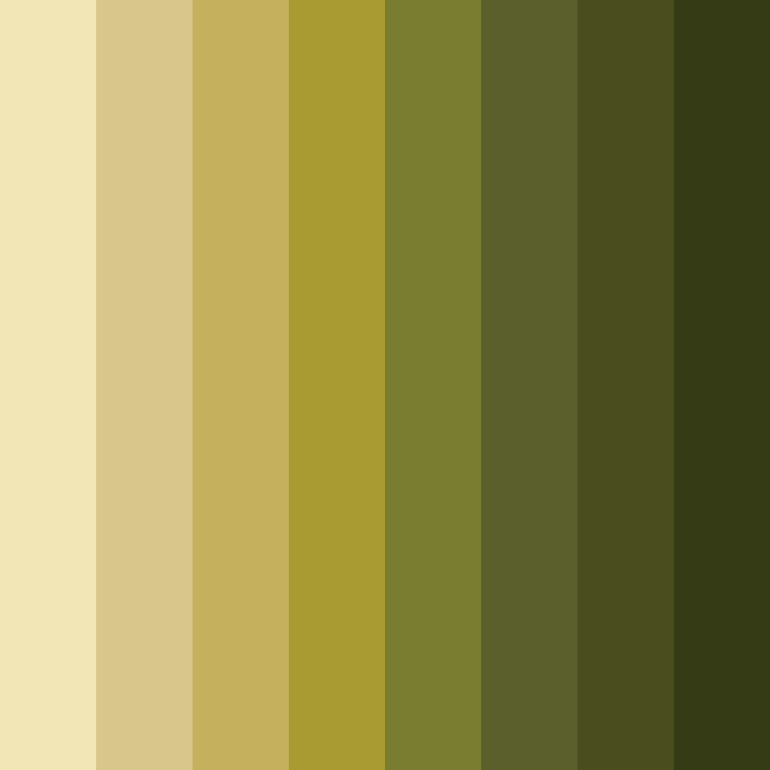 Download olive shades color palette PNG image (square)