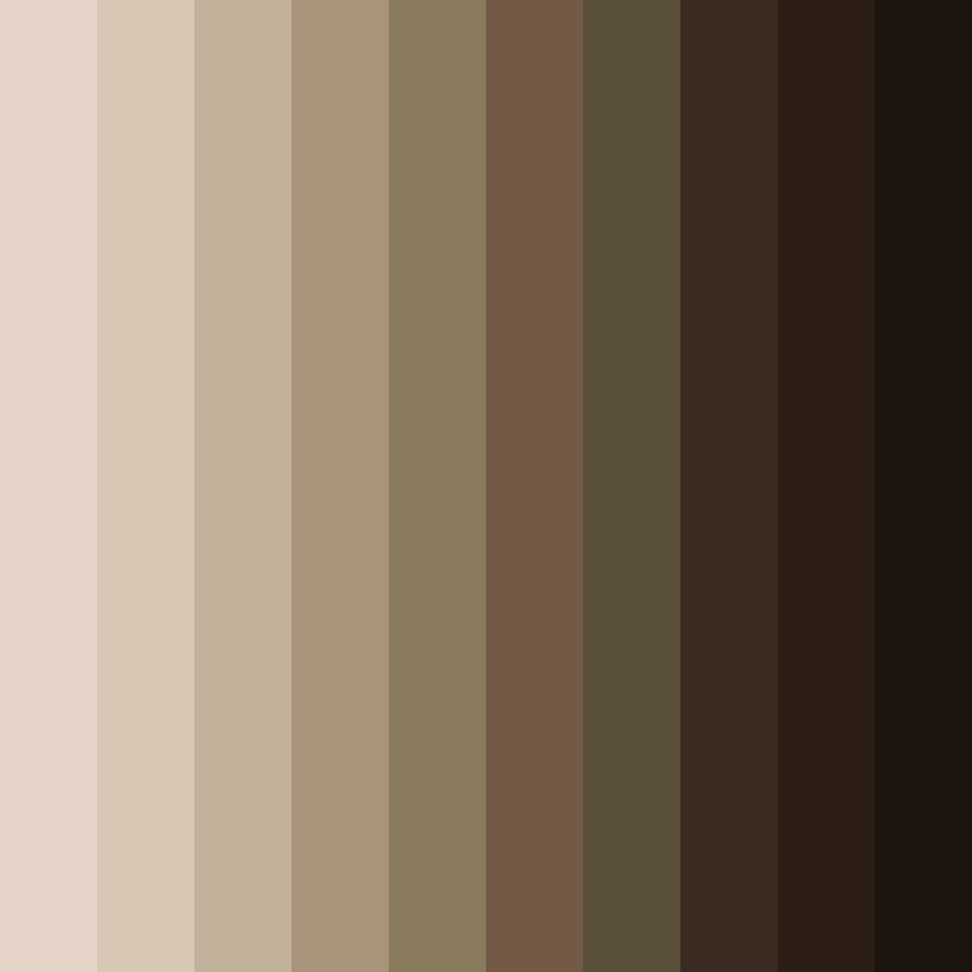 Download brown earthtones color palette PNG image (square)