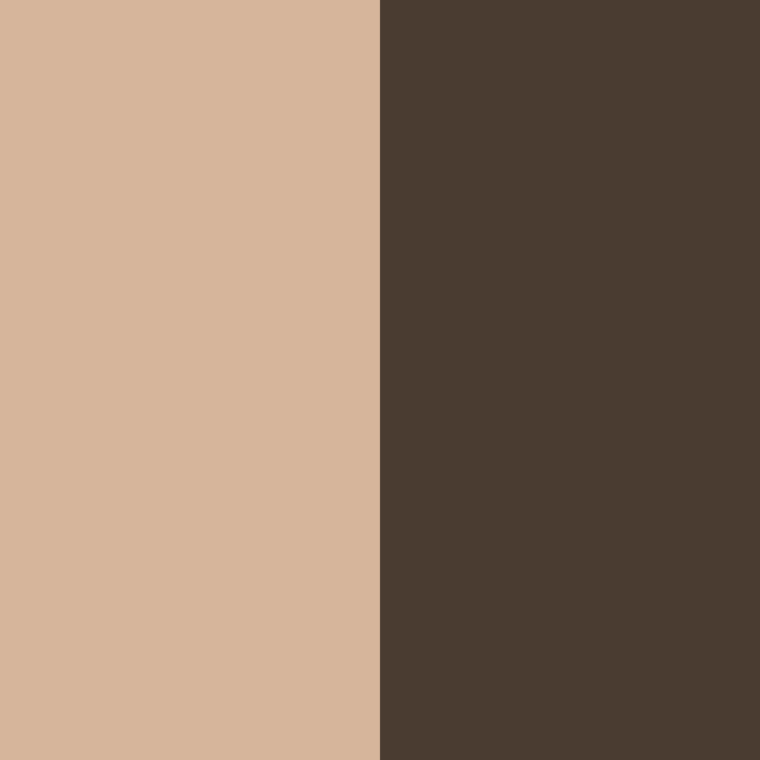 Download deep brown reading color palette PNG image (square)