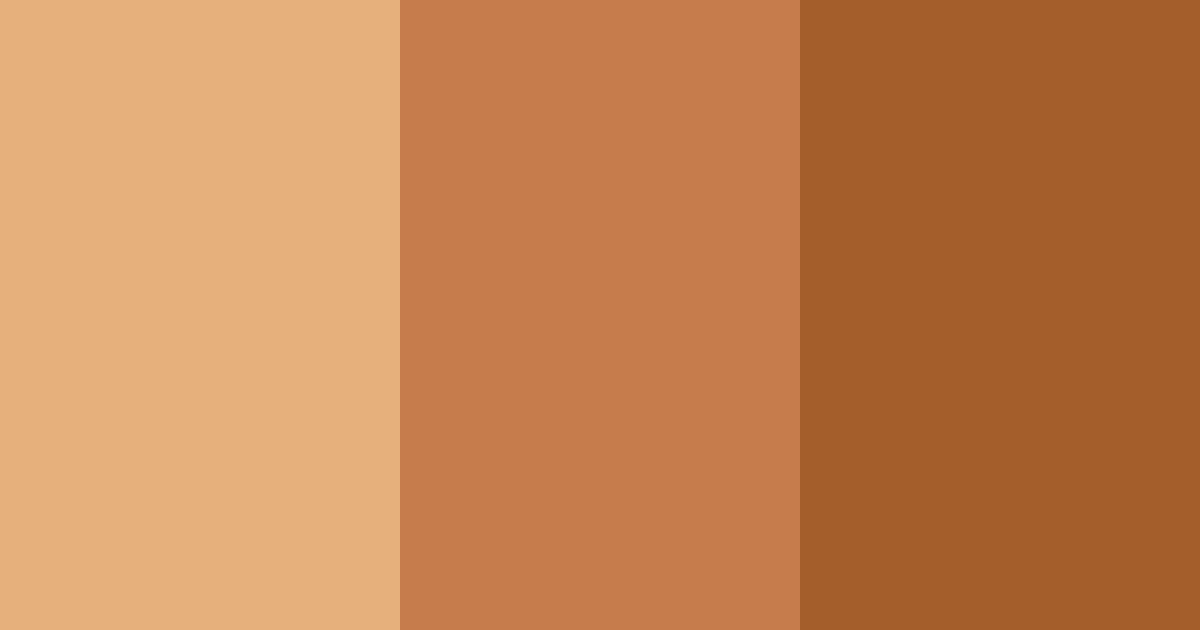 Download squirrel's embrace color palette PNG image (landscape)