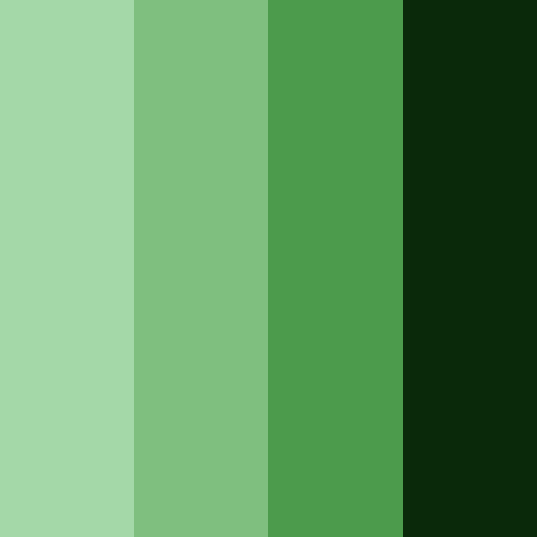 Download deep green color palette PNG image (square)