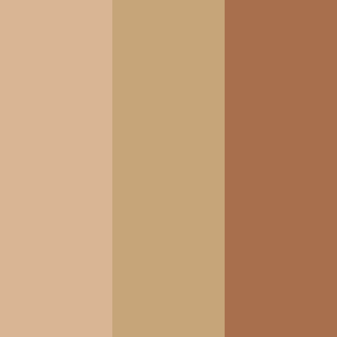 Download sandy sunset color palette PNG image (square)