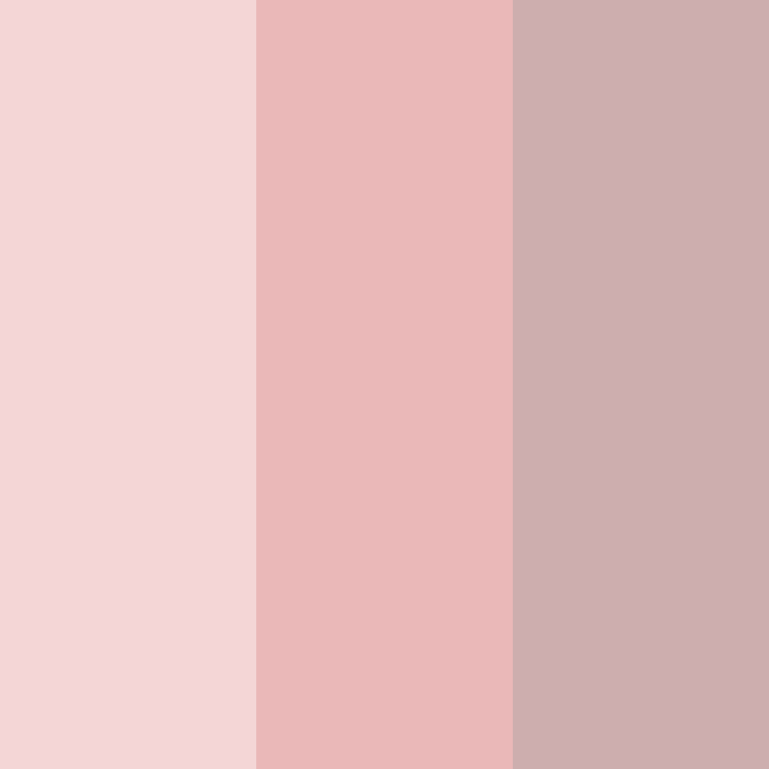 Download blush whisper color palette PNG image (square)