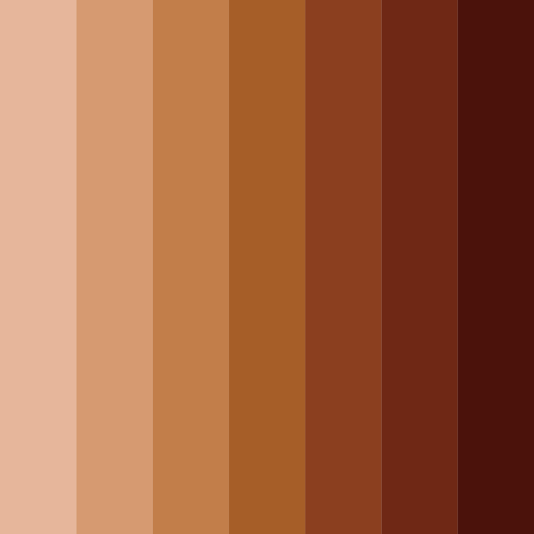 Download cinnamon ember color palette PNG image (square)