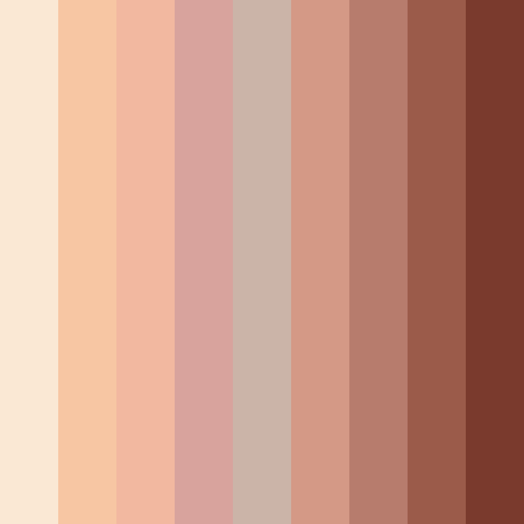 Download warm peach color palette PNG image (square)