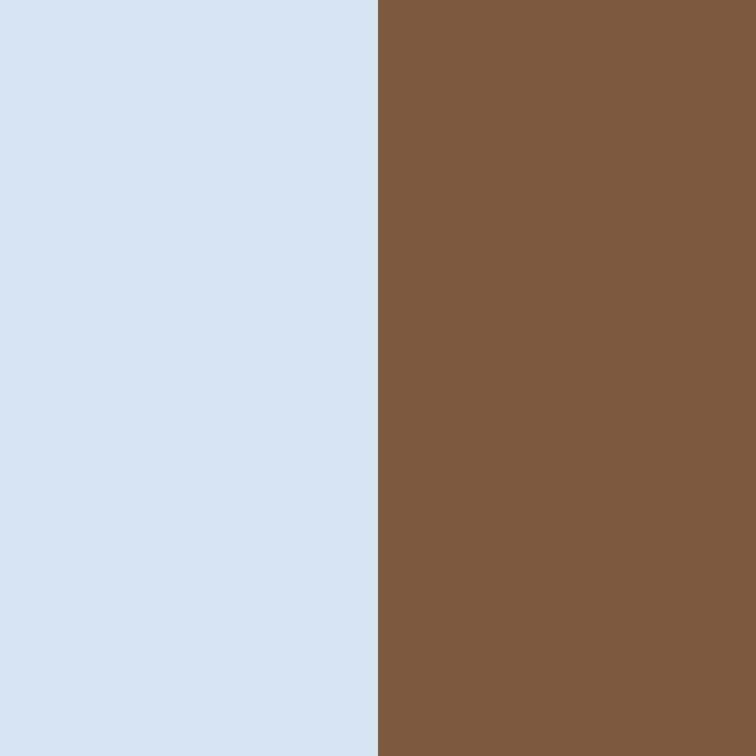 Download blue brown harmony color palette PNG image (square)