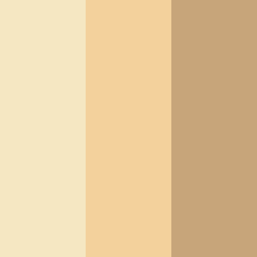 Download light beige color palette PNG image (square)