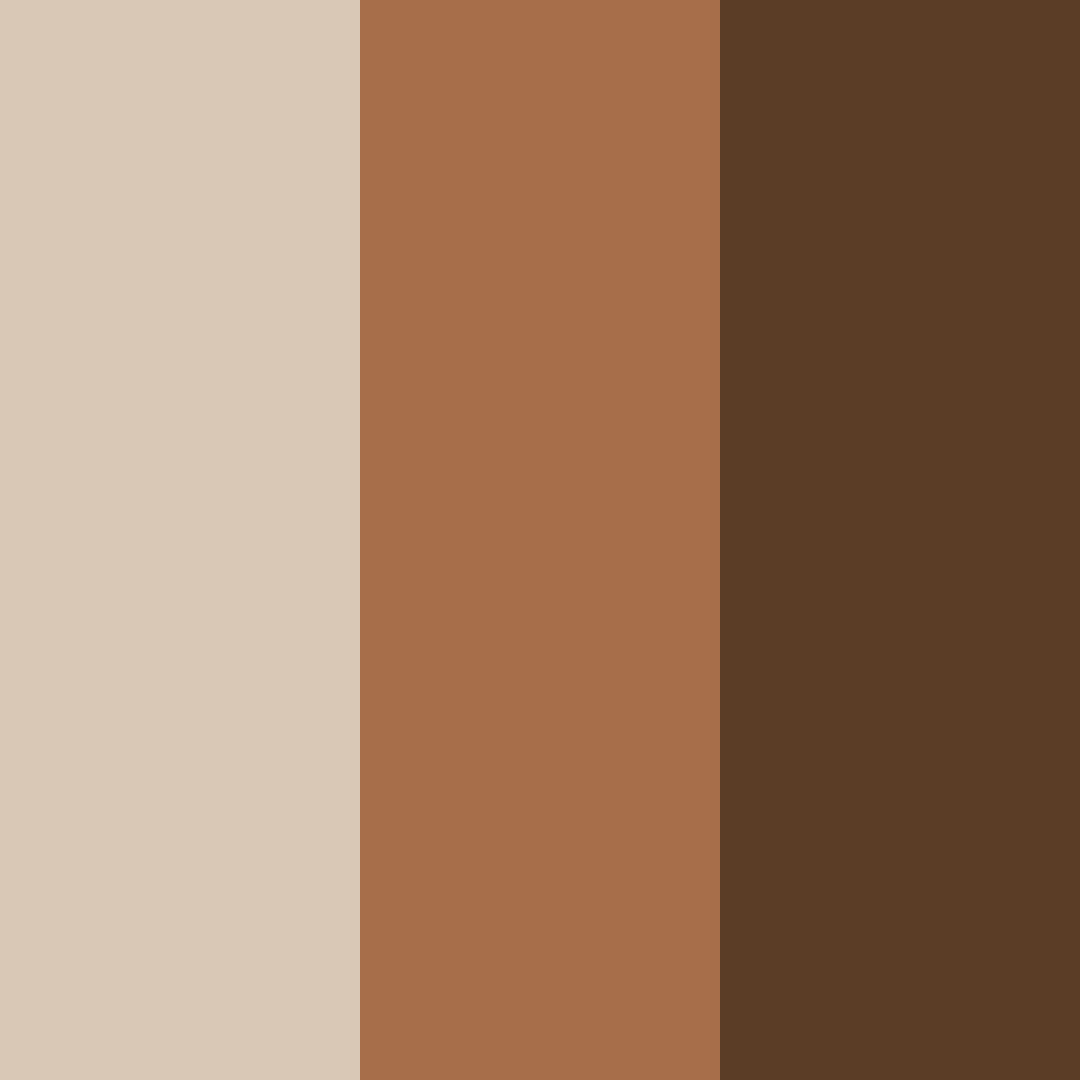 Download cocoa celebration color palette PNG image (square)
