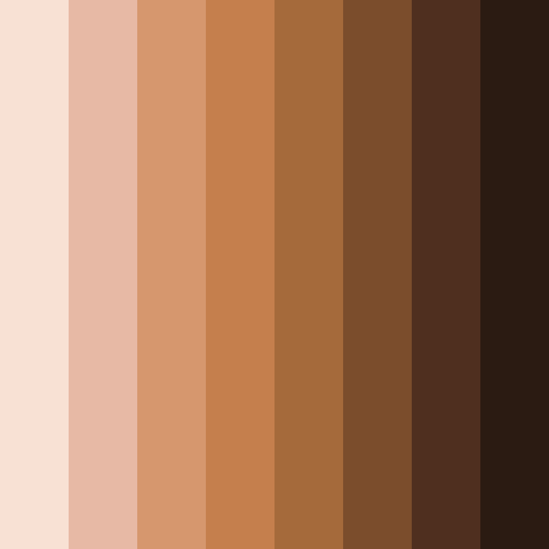 Download brown chocolates color palette PNG image (square)