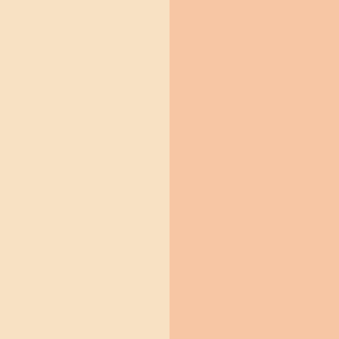 Download peachy dreams color palette PNG image (square)