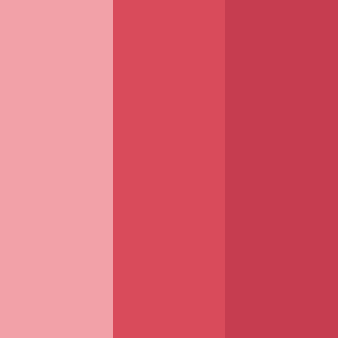 Download blushing rosewood color palette PNG image (square)