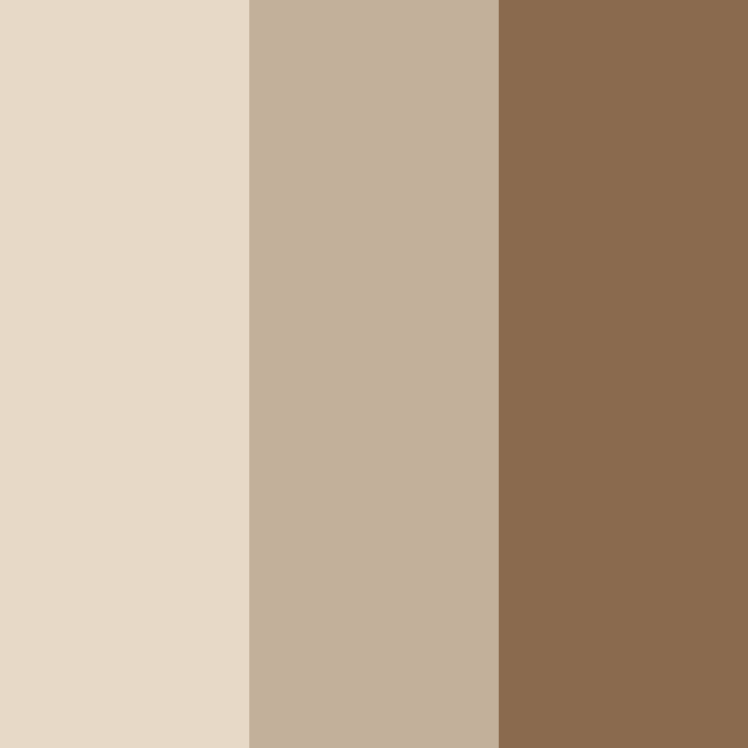 Download beige harmony color palette PNG image (square)