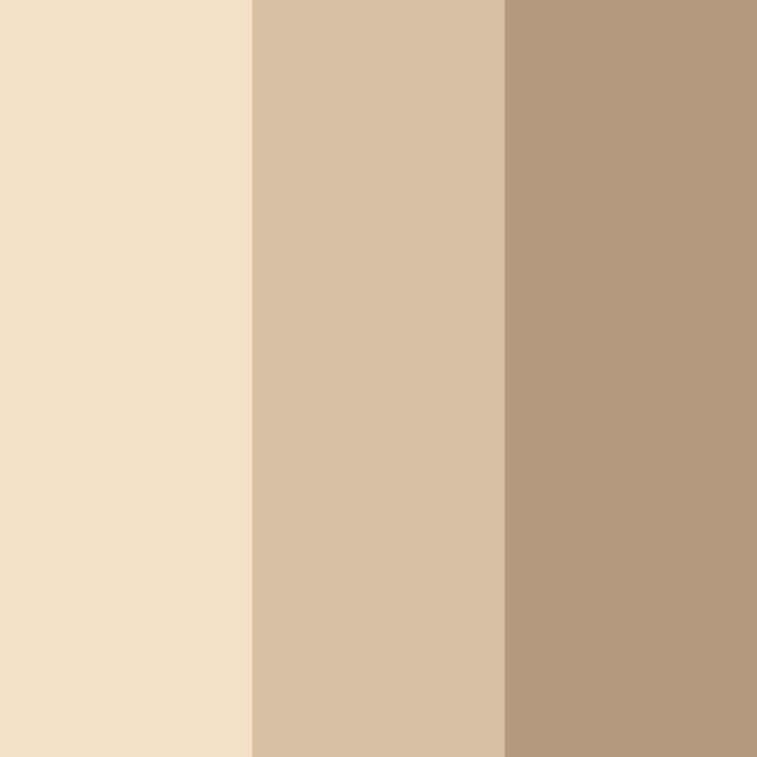 Download sandy serenity color palette PNG image (square)
