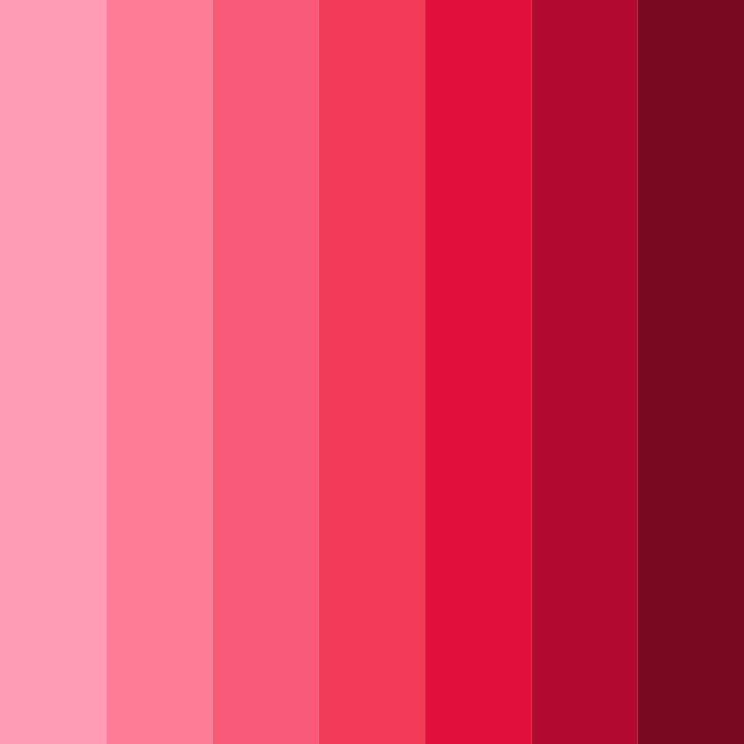 Download blush and berry bliss color palette PNG image (square)
