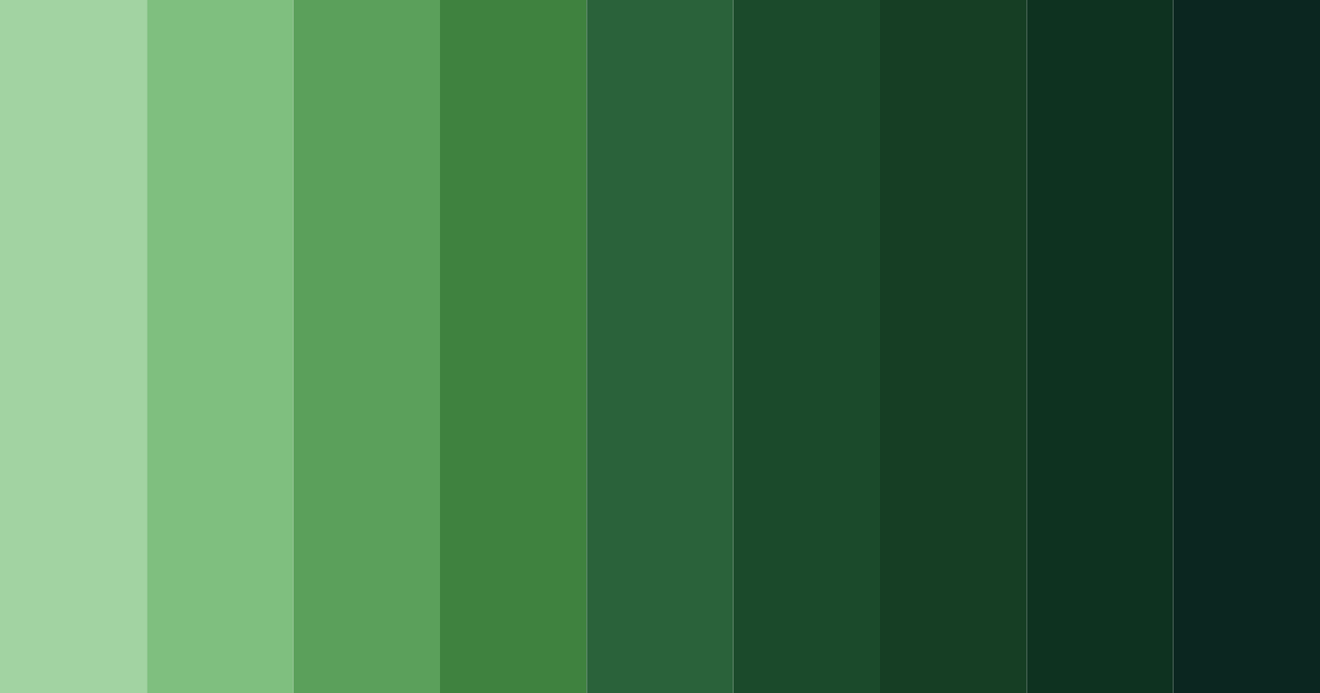 Download green wet forest color palette PNG image (landscape)